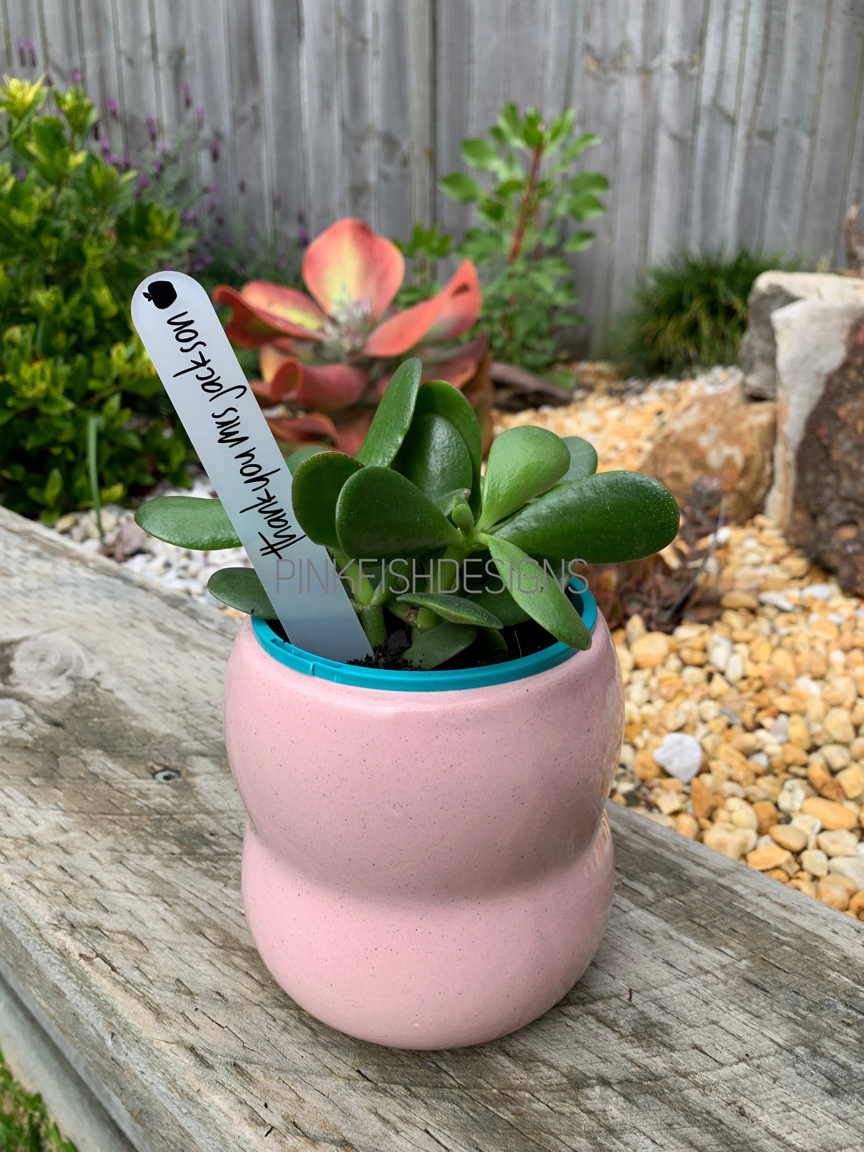 Personalised Teacher Plant Stakes