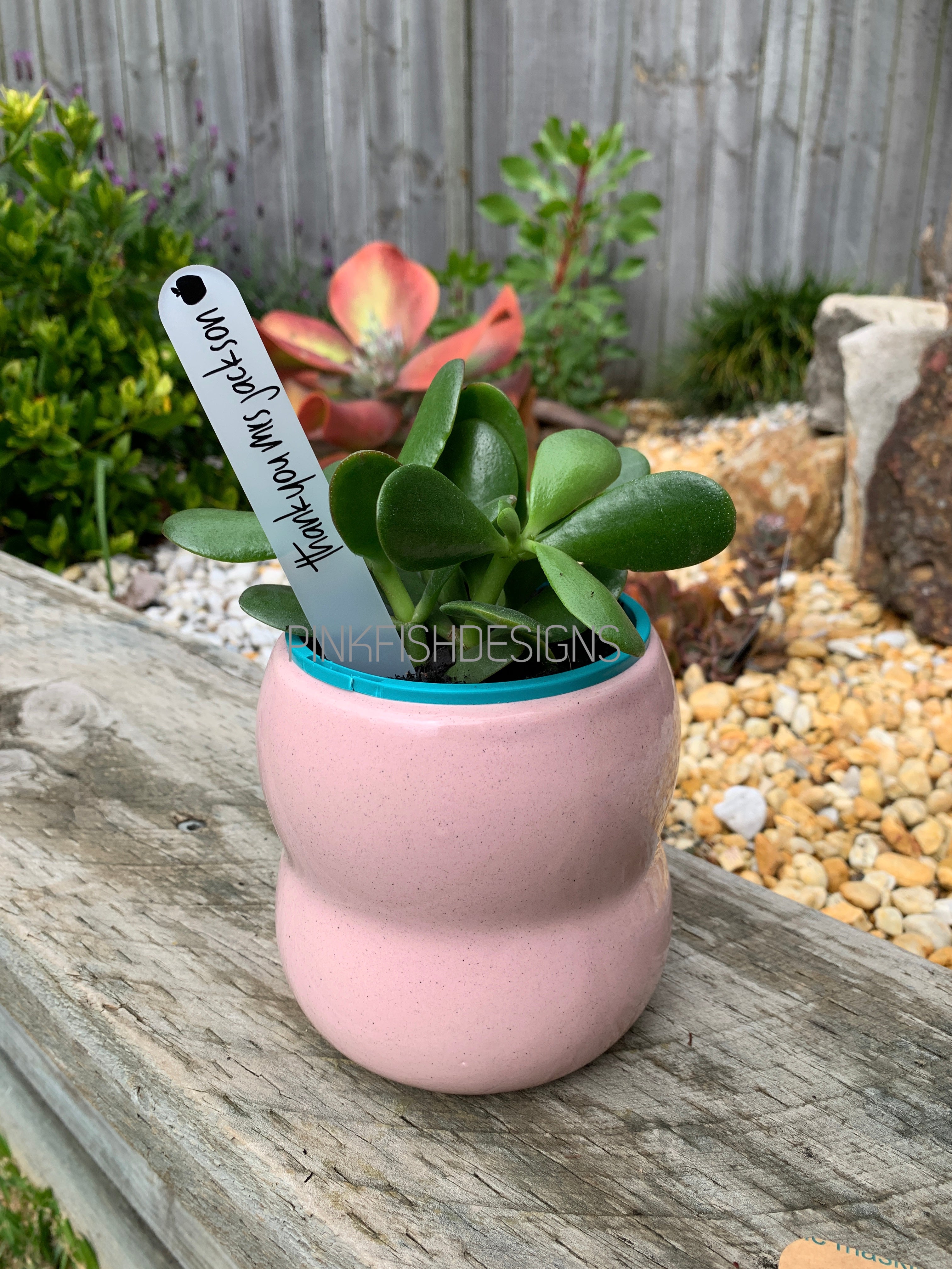 Personalised Teacher Plant Stakes