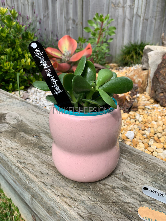 Personalised Teacher Plant Stakes