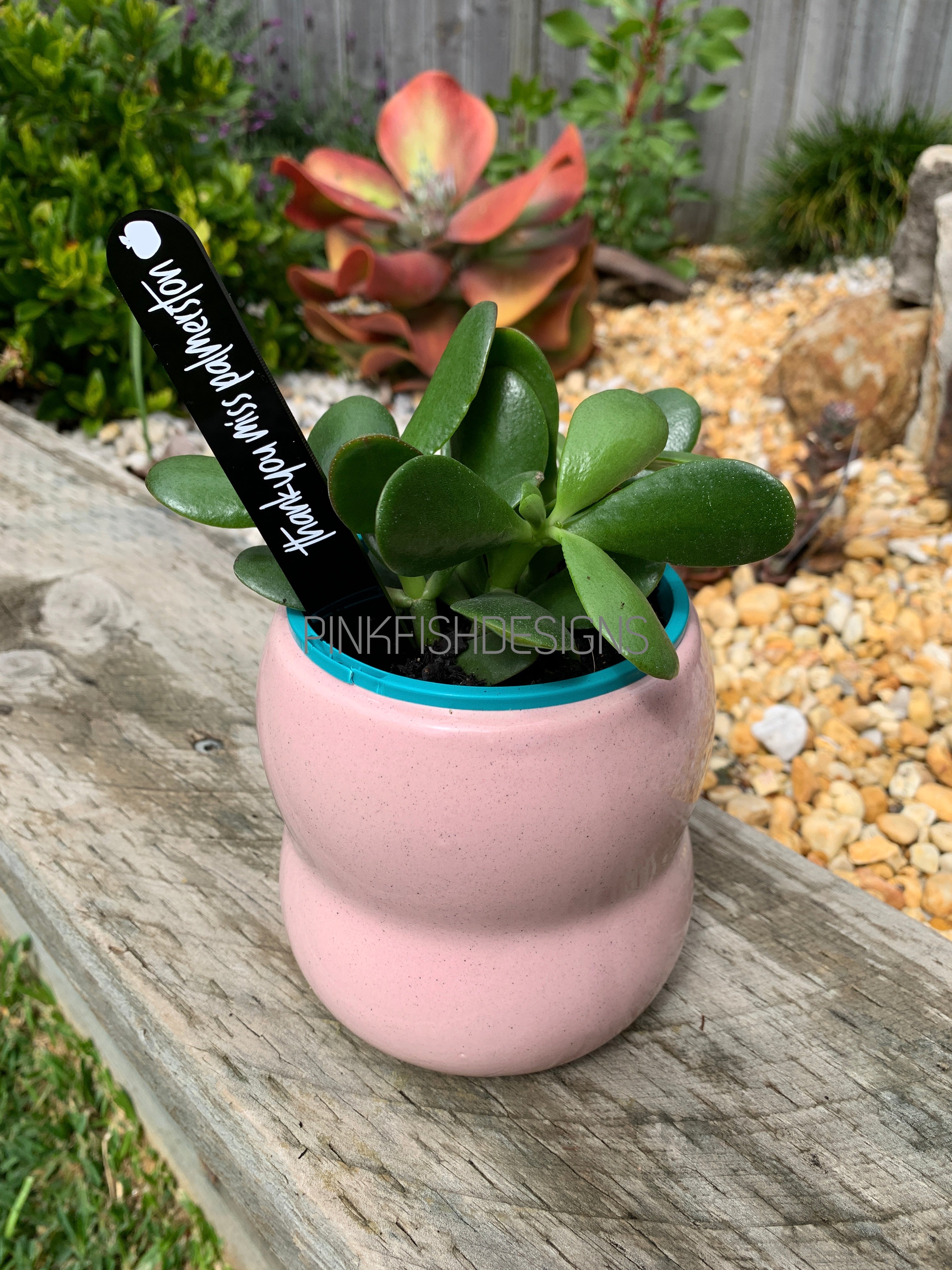 Personalised Teacher Plant Stakes